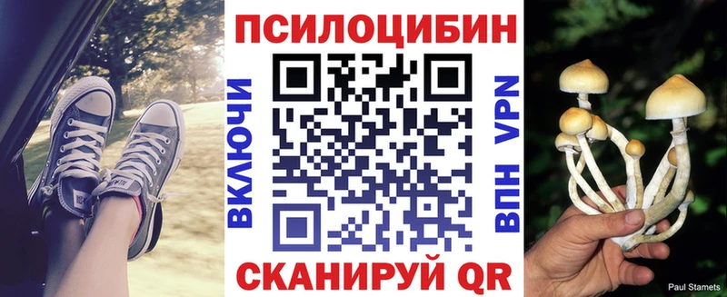 Псилоцибиновые грибы Psilocybe  площадка наркотические препараты  Камешково  MEGA зеркало 
